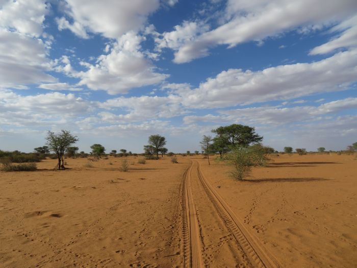 Wilderness Riding Safari on the Edge od the Kalahari