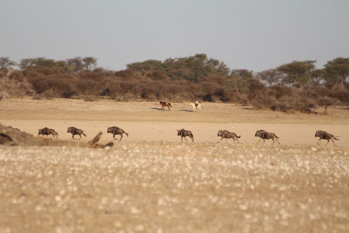 Wilderness Riding Safari on the Edge od the Kalahari