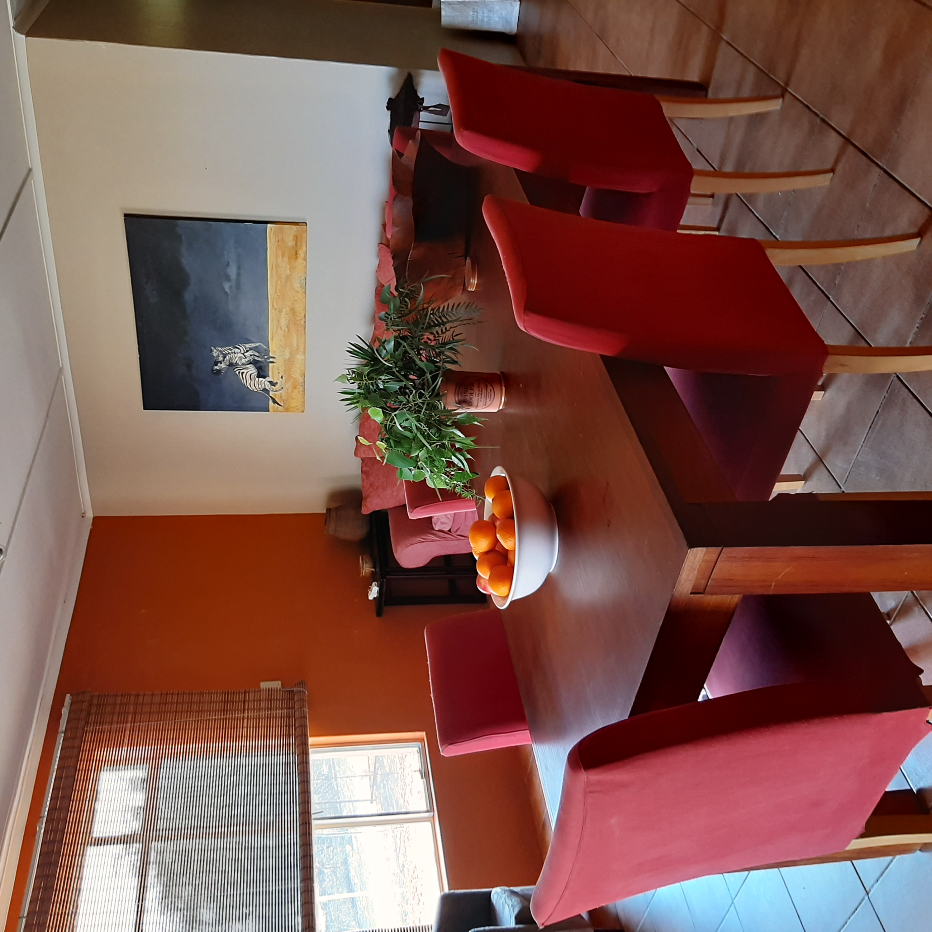 Arabian Horse Safaris in Namibia Accomodation