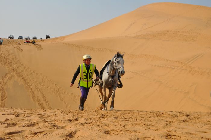 Arabian Horse Safaris in Namibia