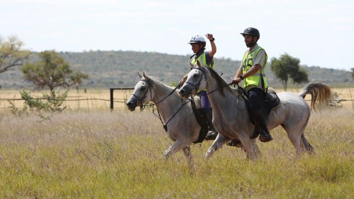 Arabian Horse Safaris in Namibia