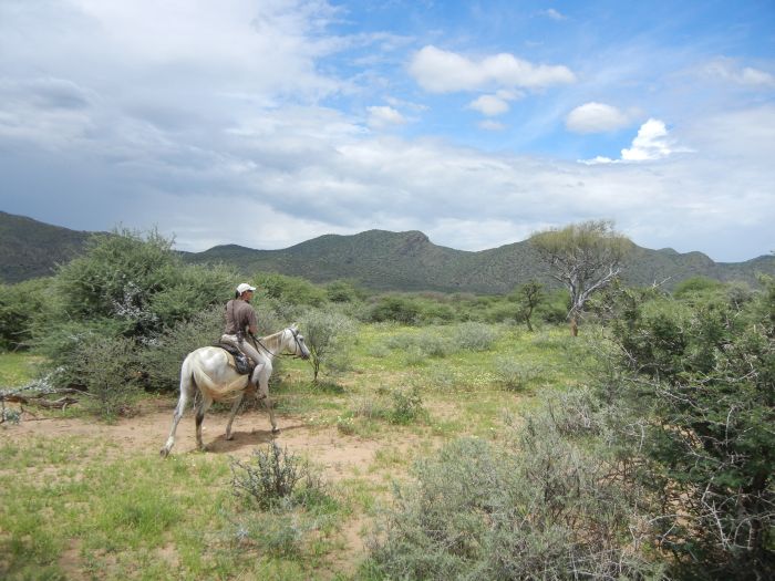 Arabian Horse Safaris in Namibia