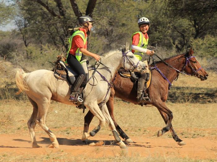Arabian Horse Safaris in Namibia