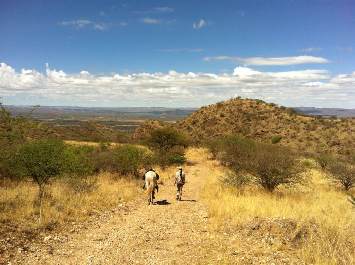 Arabian Horse Safaris in Namibia