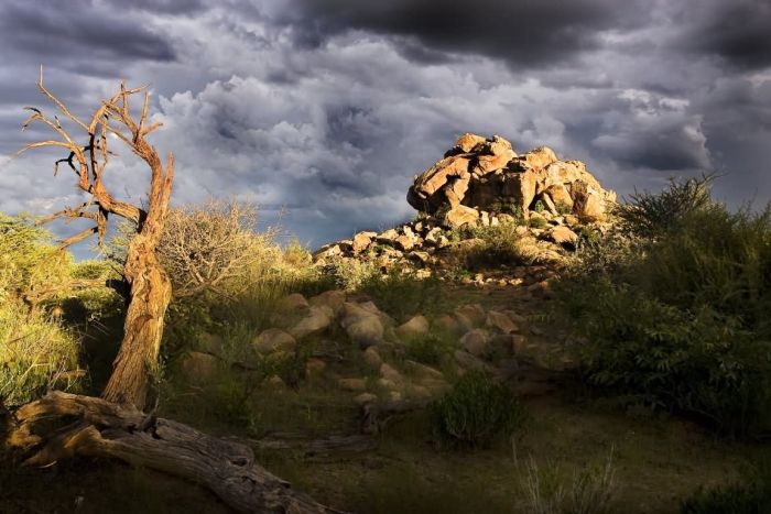Arabian Horse Safaris in Namibia