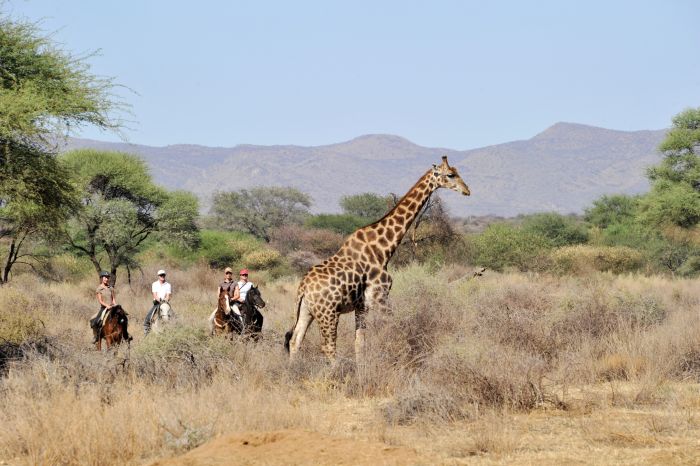 Arabian Horse Safaris in Namibia
