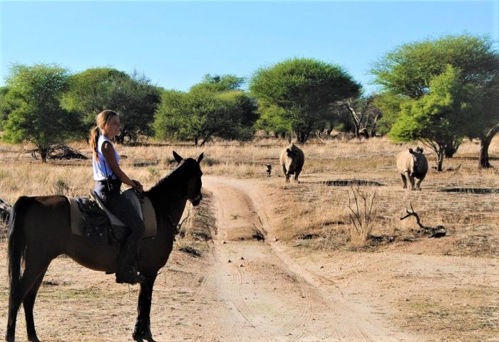 Arabian Horse Safaris in Namibia