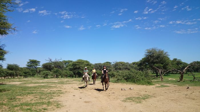 Arabian Horse Safaris in Namibia