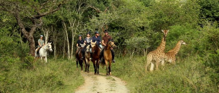 Big Five Riding Safari