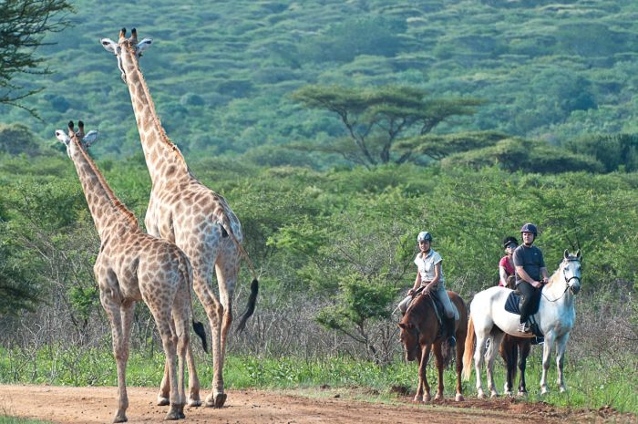 Big Five Riding Safari
