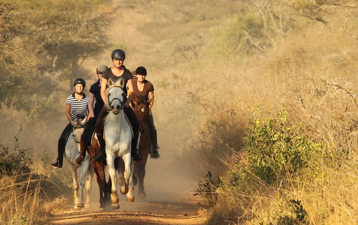 Big Five Riding Safari
