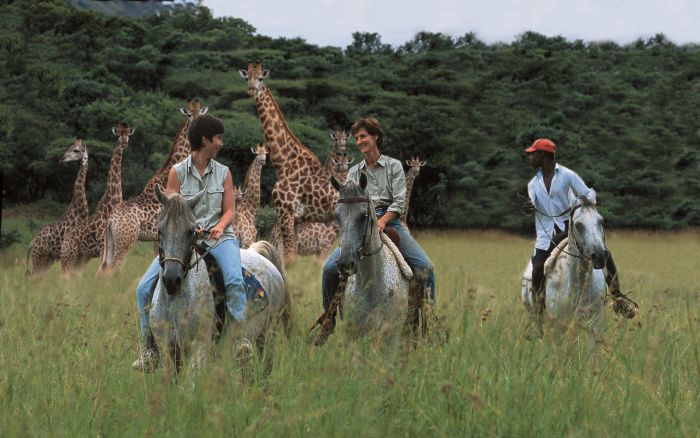Big Five Riding Safari