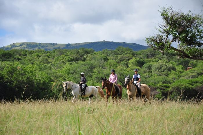 Big Five Riding Safari