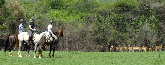 Big Five Riding Safari