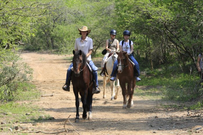 Big Five Riding Safari