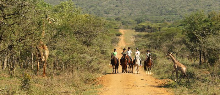 Big Five Riding Safari