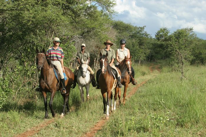 Big Five Riding Safari