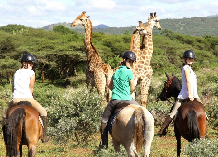 Big Five Riding Safari