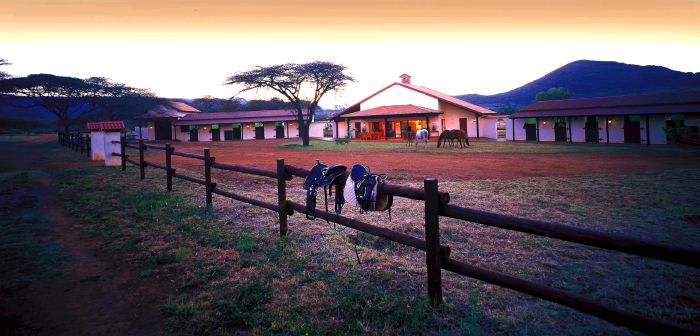 Big Five Riding Safari