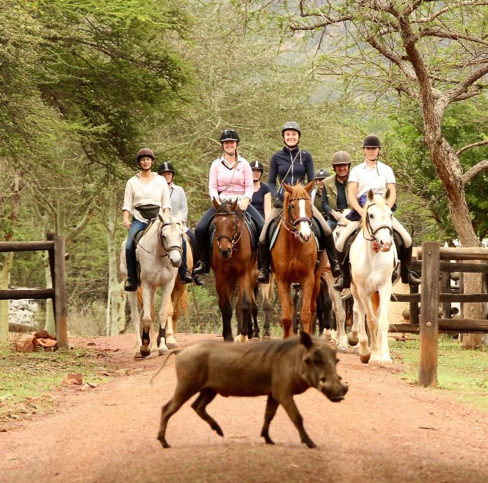 Big Five Riding Safari