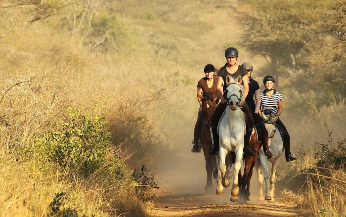 Big Five Riding Safari