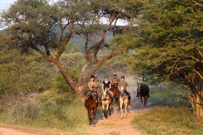 Waterberg Riding Safaris