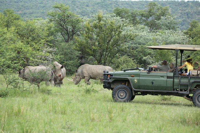 Waterberg Riding Safaris