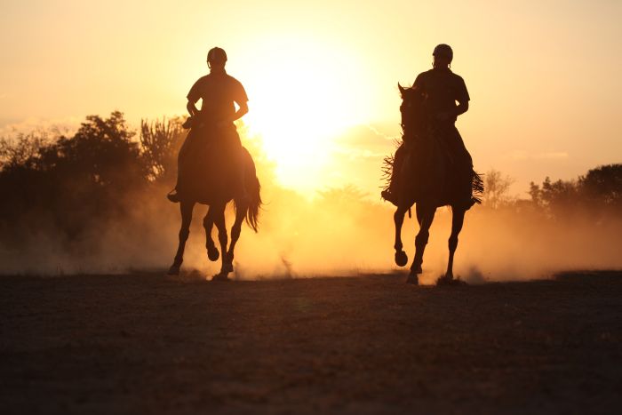 Waterberg Riding Safaris
