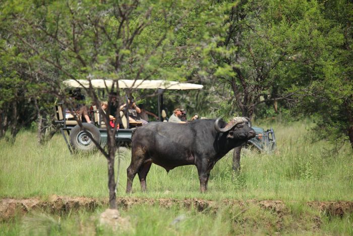 Waterberg Riding Safaris