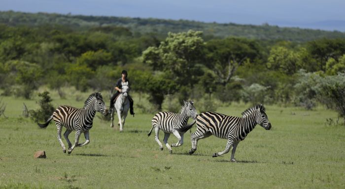 Waterberg Riding Safaris