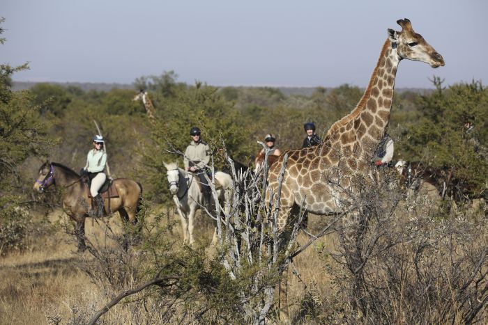 Waterberg Riding Safaris