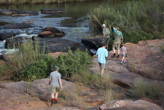 Waterberg Riding Safaris
