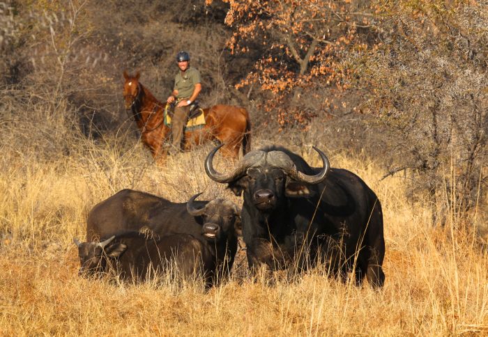 Waterberg Riding Safaris