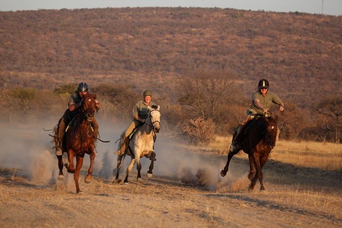 Waterberg Riding Safaris