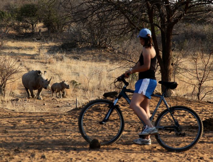 Waterberg Riding Safaris
