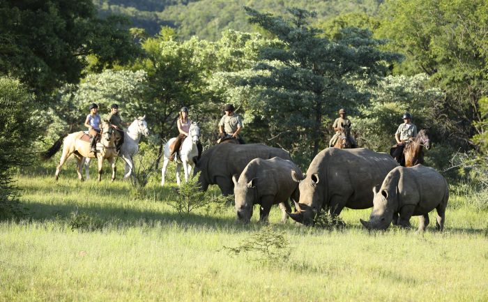 Waterberg Riding Safaris