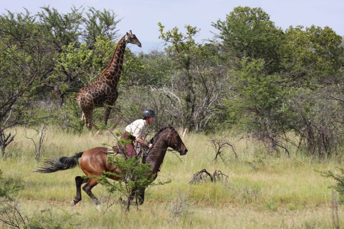 Waterberg Riding Safaris