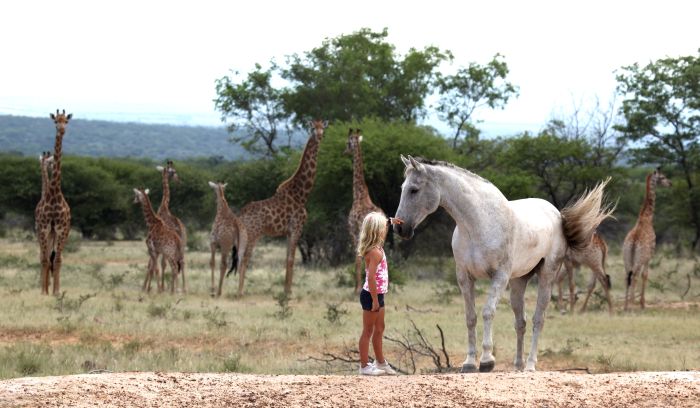 Waterberg Riding Safaris