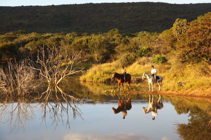 Waterberg Riding Safaris