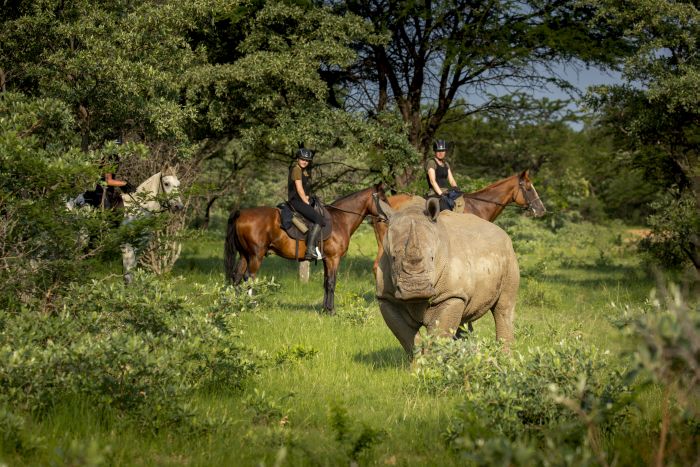 Waterberg Riding Safaris