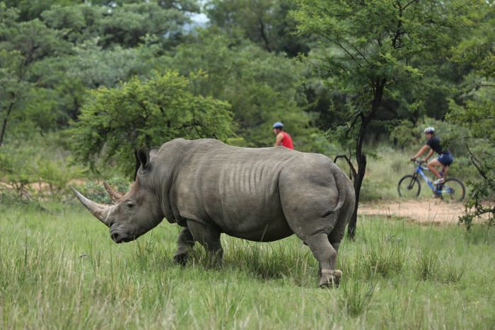 Waterberg Riding Safaris