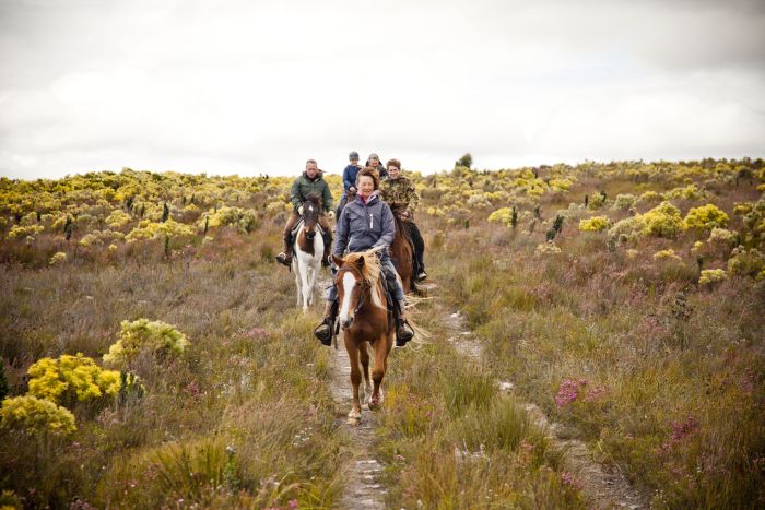 Ride to the Southernmost Point of the Cape