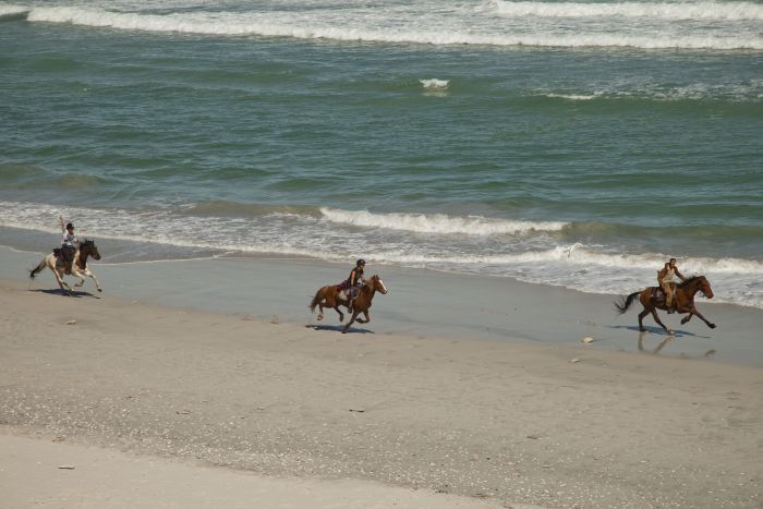 Ride to the Southernmost Point of the Cape