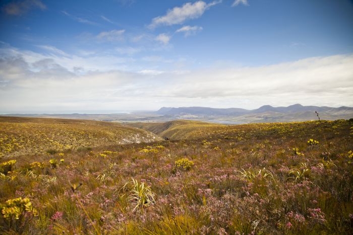 Ride to the Southernmost Point of the Cape