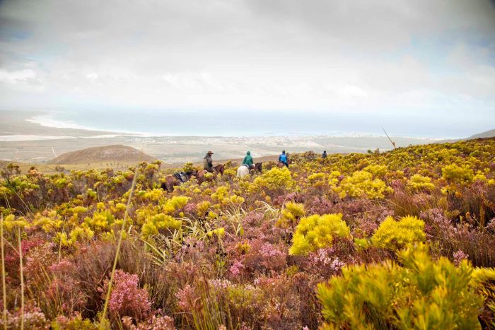 Ride to the Southernmost Point of the Cape