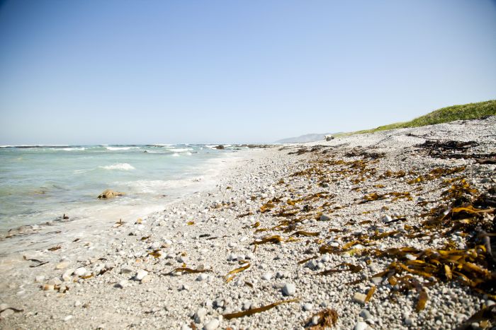 Ride to the Southernmost Point of the Cape