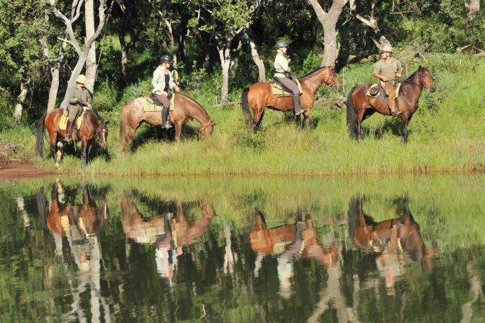 Adventure holiday at the Lodge by the Lake