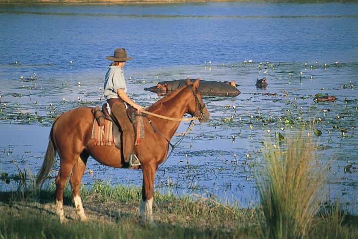Adventure holiday at the Lodge by the Lake