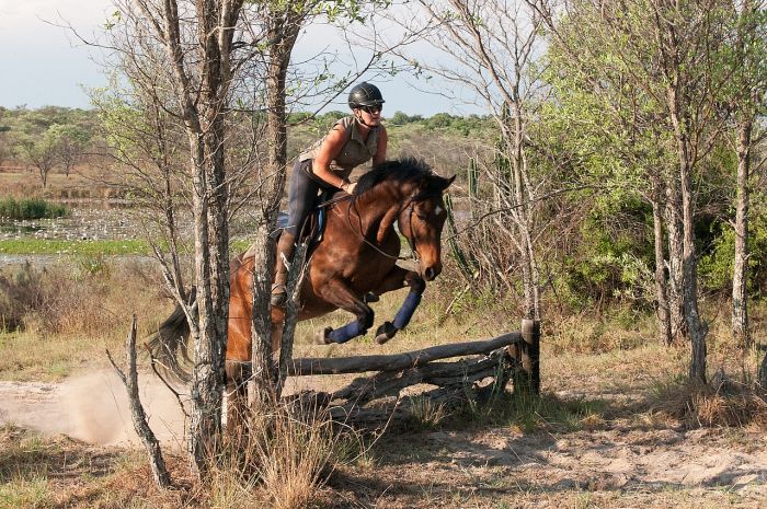 Adventure holiday at the Lodge by the Lake