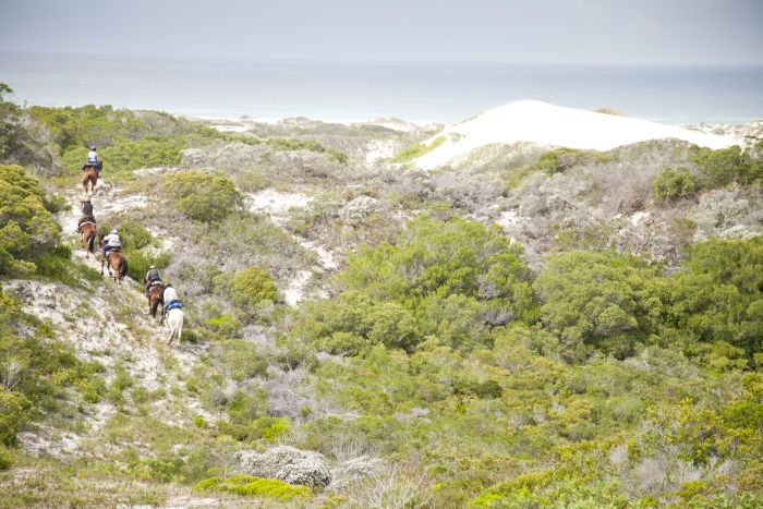 Beach trail at Walker Bay